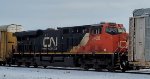 CN 2920